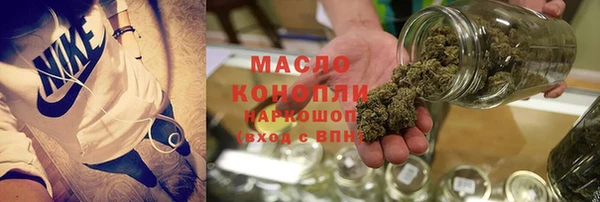 спиды Горняк