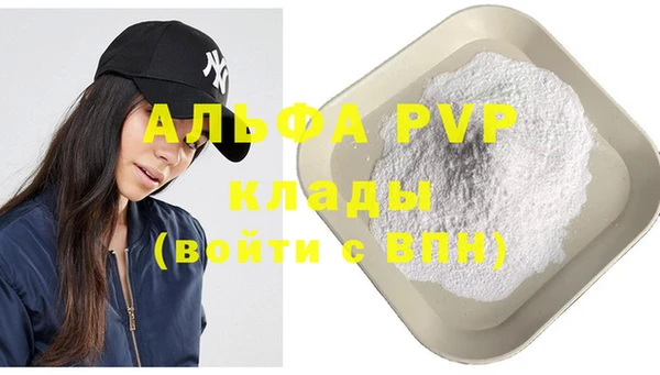 спиды Горняк