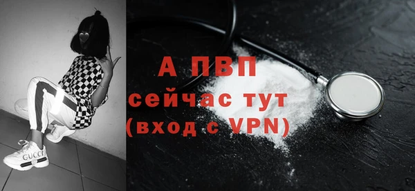 спиды Горняк