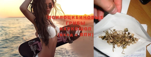 шишки Горно-Алтайск