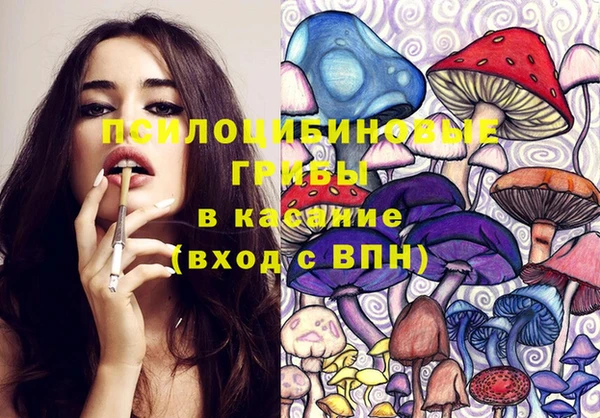 спиды Горняк