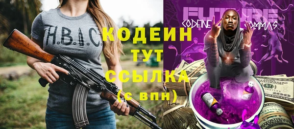 шишки Горно-Алтайск