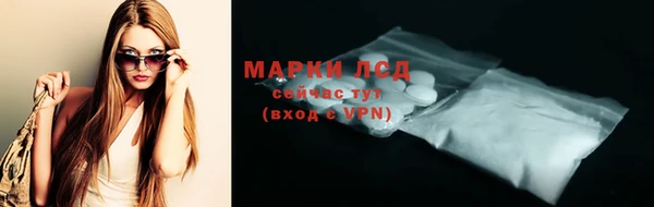 шишки Горно-Алтайск