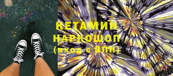 шишки Горно-Алтайск