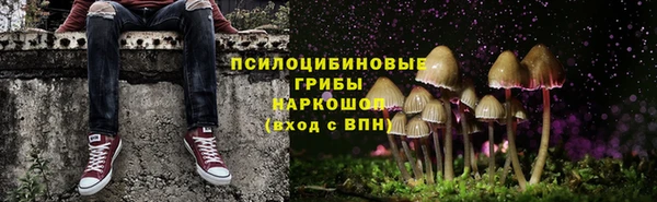 spice Горнозаводск