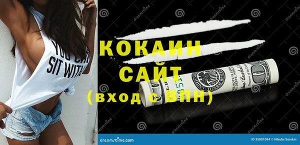 шишки Горно-Алтайск
