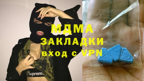 шишки Горно-Алтайск