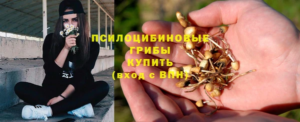 спиды Горняк