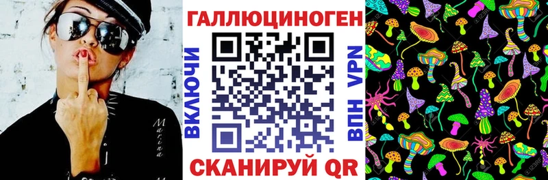 Псилоцибиновые грибы Psilocybe Гусиноозёрск