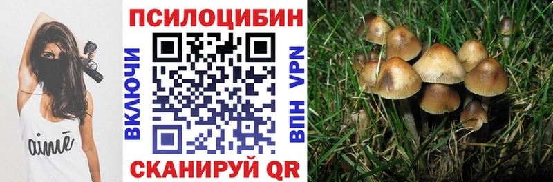 Псилоцибиновые грибы прущие грибы Гусиноозёрск