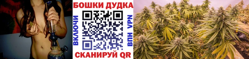 Бошки Шишки планчик  МЕГА сайт  Гусиноозёрск 